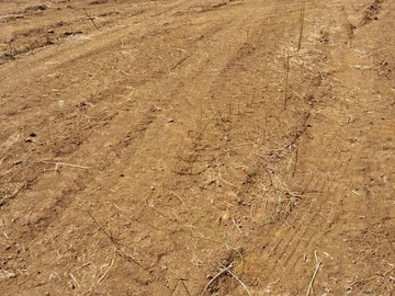 Terrain Agricole