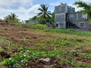 Land
