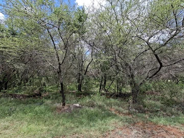Residential Land