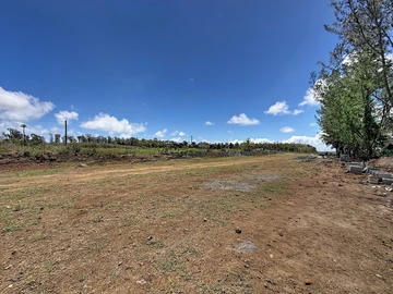 Land