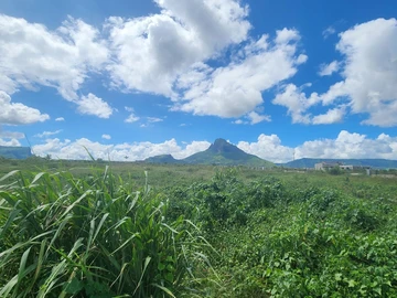 Terrain