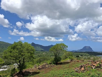 Residential Land
