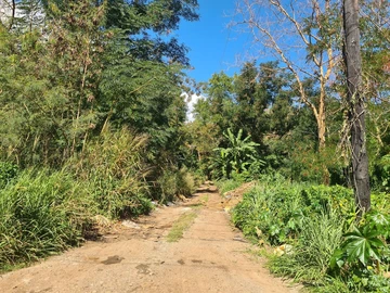 Agricultural Land