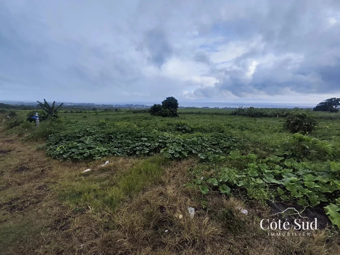 1.3 arpents land for sale in Curepipe, Mauritius