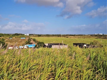 Land
