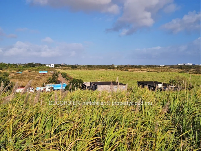 A vendre terrain agricole de 3.5 Arpents – Mont Mascal - Grand Baie
