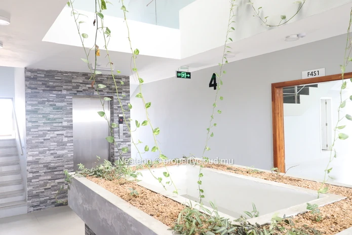 Penthouse of 3 bedrooms