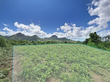 Land