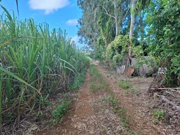 Agricultural Land