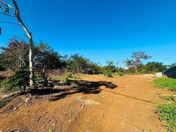 Residential Land