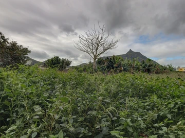 Residential Land