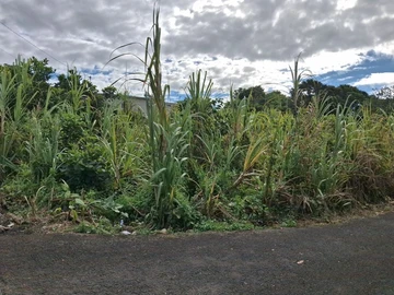 Residential Land