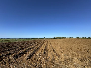 Agricultural Land
