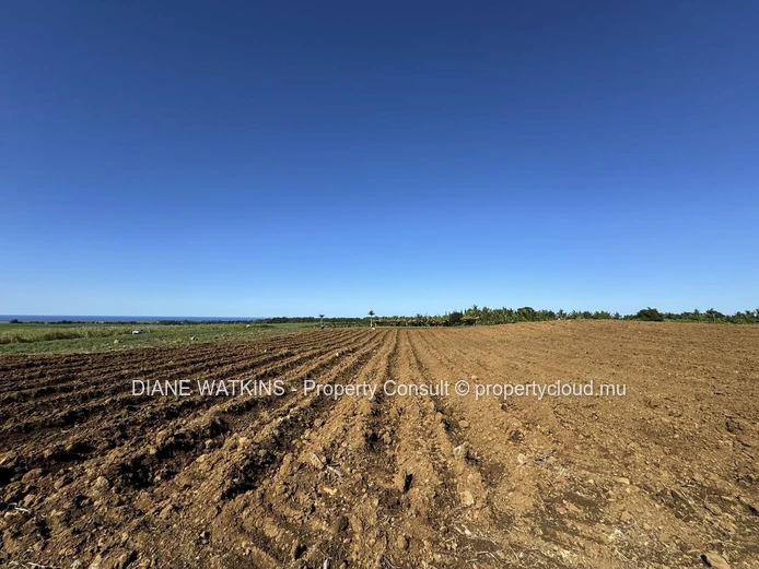 À vendre – Terrain Agricole avec Vue Sur la Mer à Gros Bois