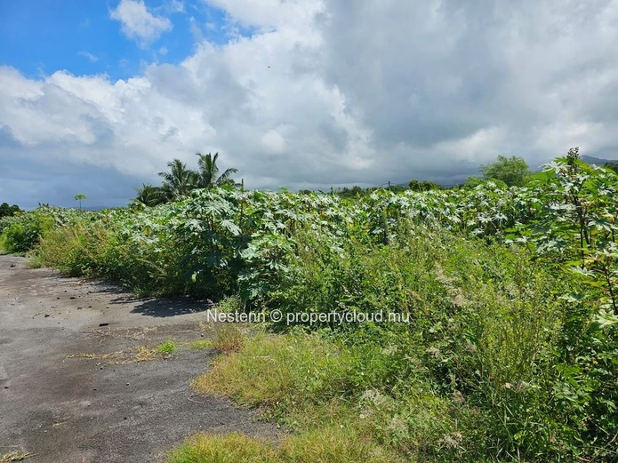 Prime 1081m² plot near the beach