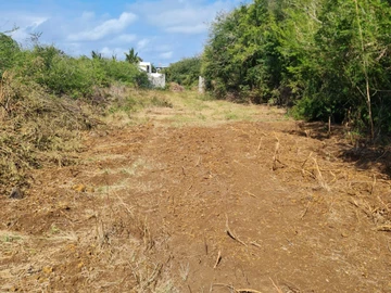 Terrain