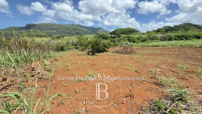 BAIE DU CAP – Terrain agricole avec vue mer et montagne - 4 789 m²
