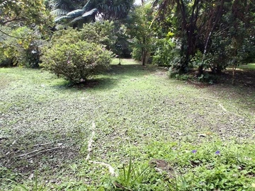 Residential Land