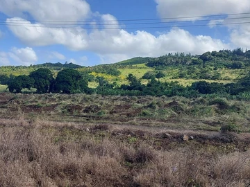 Terrain Agricole