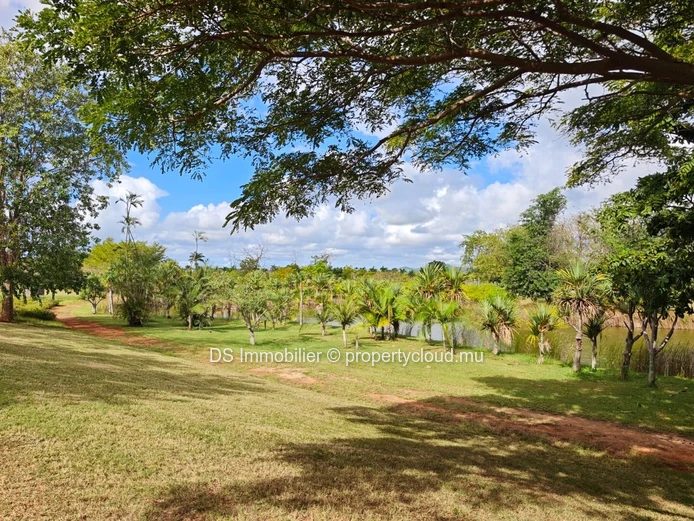 À Vendre – Vivez L’Exception À Royal Park, Balaclava - Nord