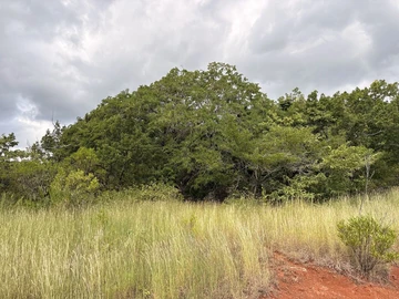 Residential Land