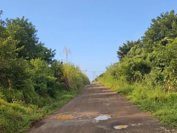 Agricultural Land