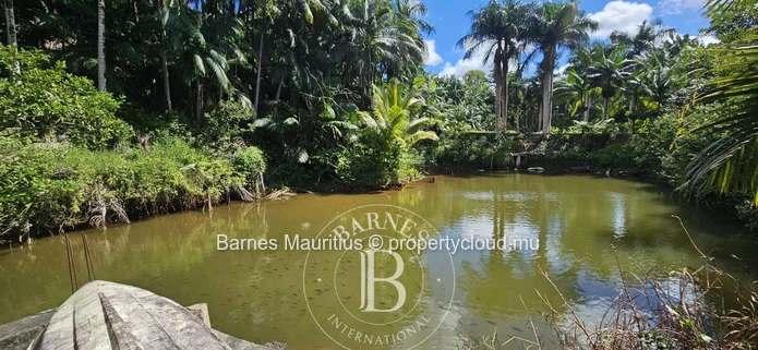 2 Bras - Terrain Agricole - 31 Arpents