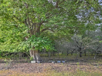 Residential Land