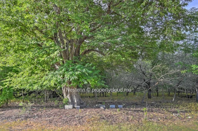 Exceptional plot of land of 2,167.66 m² – Highly sought-after gated community 