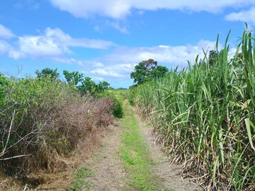 Terrain Agricole
