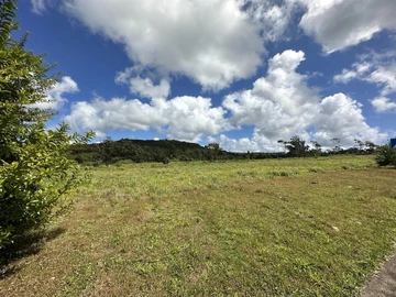 Terrain