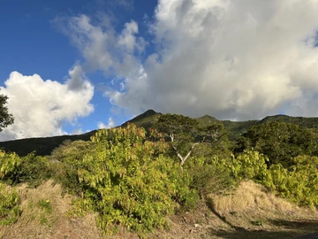 Residential Land