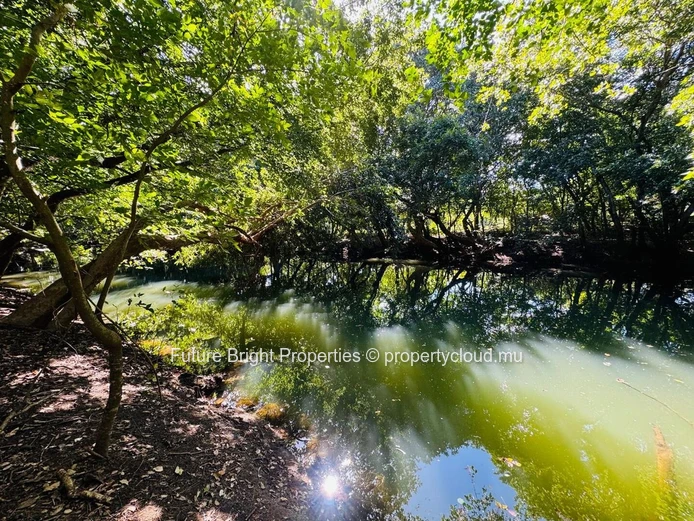 Superbe Terrain à Vendre dans le Domaine TEREMINALIA – Morcellement Belouguet