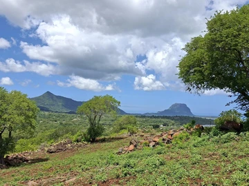 Residential Land