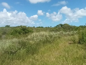 Terrain Résidentiel