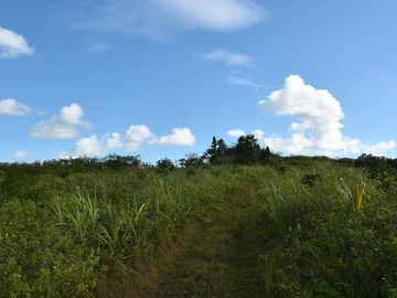 Terrain Agricole