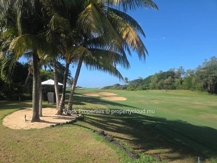 Exceptional Luxury IRS Villa with 5 En-Suite Bedrooms and Private Pool in Anahita Beau Champ
