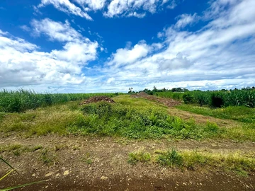 Agricultural Land
