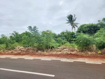 Commercial Land