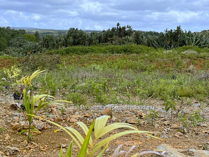 Land with wonderful nature view