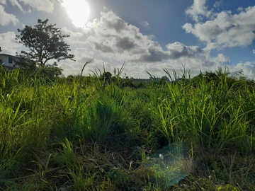 Terrain Résidentiel