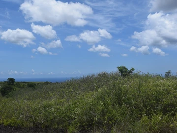 Terrain Agricole