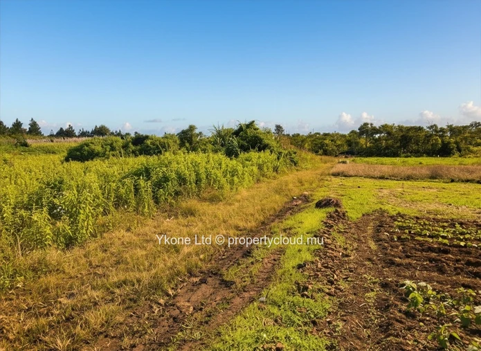 Terrain Agricole En Vente À Quartier Militaire