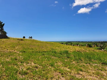 Residential Land