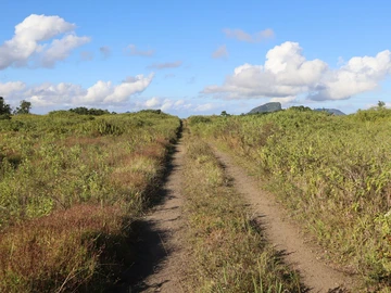 Agricultural Land
