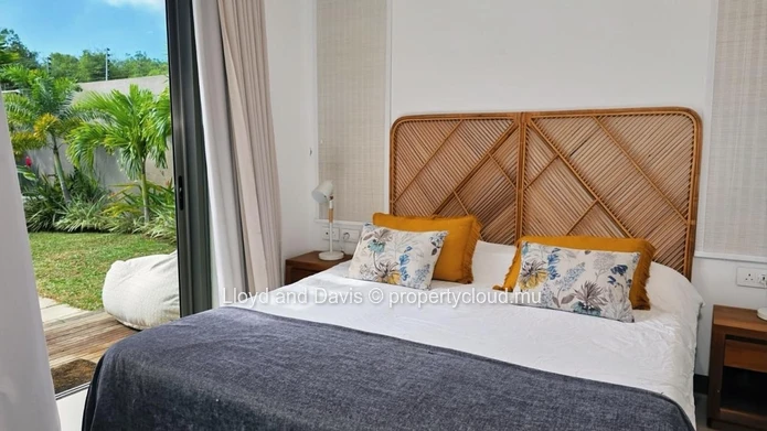 Contemporary Furnished House
