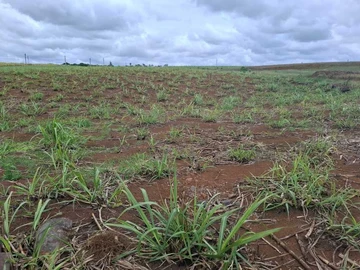 12,400 m² agricultural land