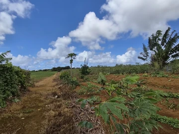 Terrain Agricole