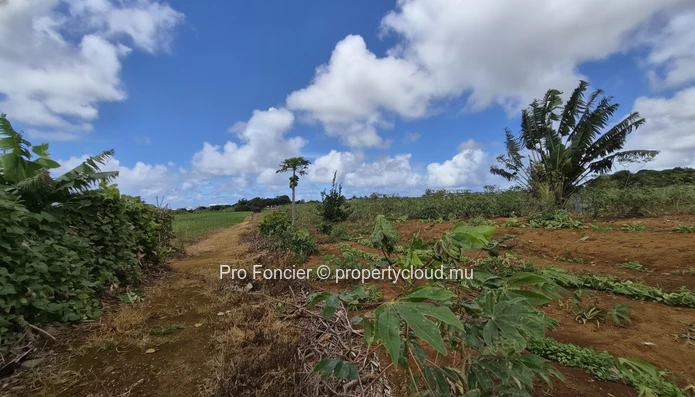  Agricultural Land for sale in Plaine Magnien - Exceptional Views of the Airport