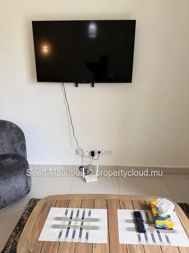  Appartement Moderne et Meublé de 1 Chambre à Riverpark Trianon